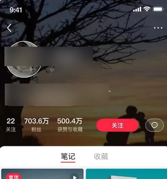 小红书品牌置换_小红书上什么叫产品置换_有哪些小红书置换平台
