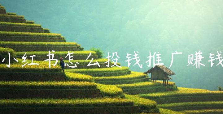 小红书推广怎么赚钱_小红书推广玩法_小红书推广收益