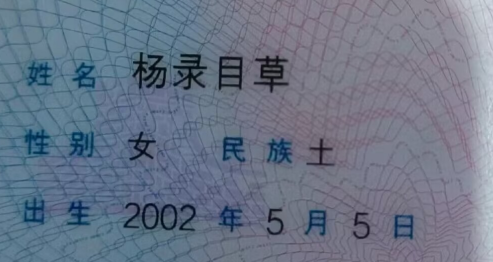 洋气的小红书名字_好听的小红书名_小红书名字好听