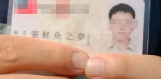 好听的小红书名_洋气的小红书名字_小红书名字好听