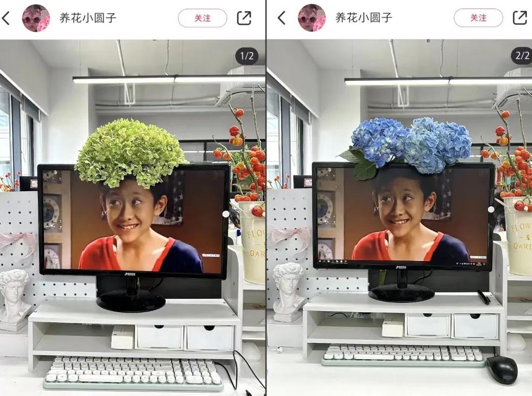 小红书系列笔记_xuann小红书笔记_小红书设置笔记合集