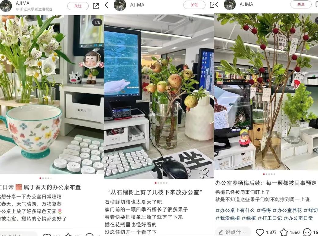 xuann小红书笔记_小红书系列笔记_小红书设置笔记合集
