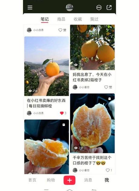 小红书系列笔记_xuann小红书笔记_小红书设置笔记合集