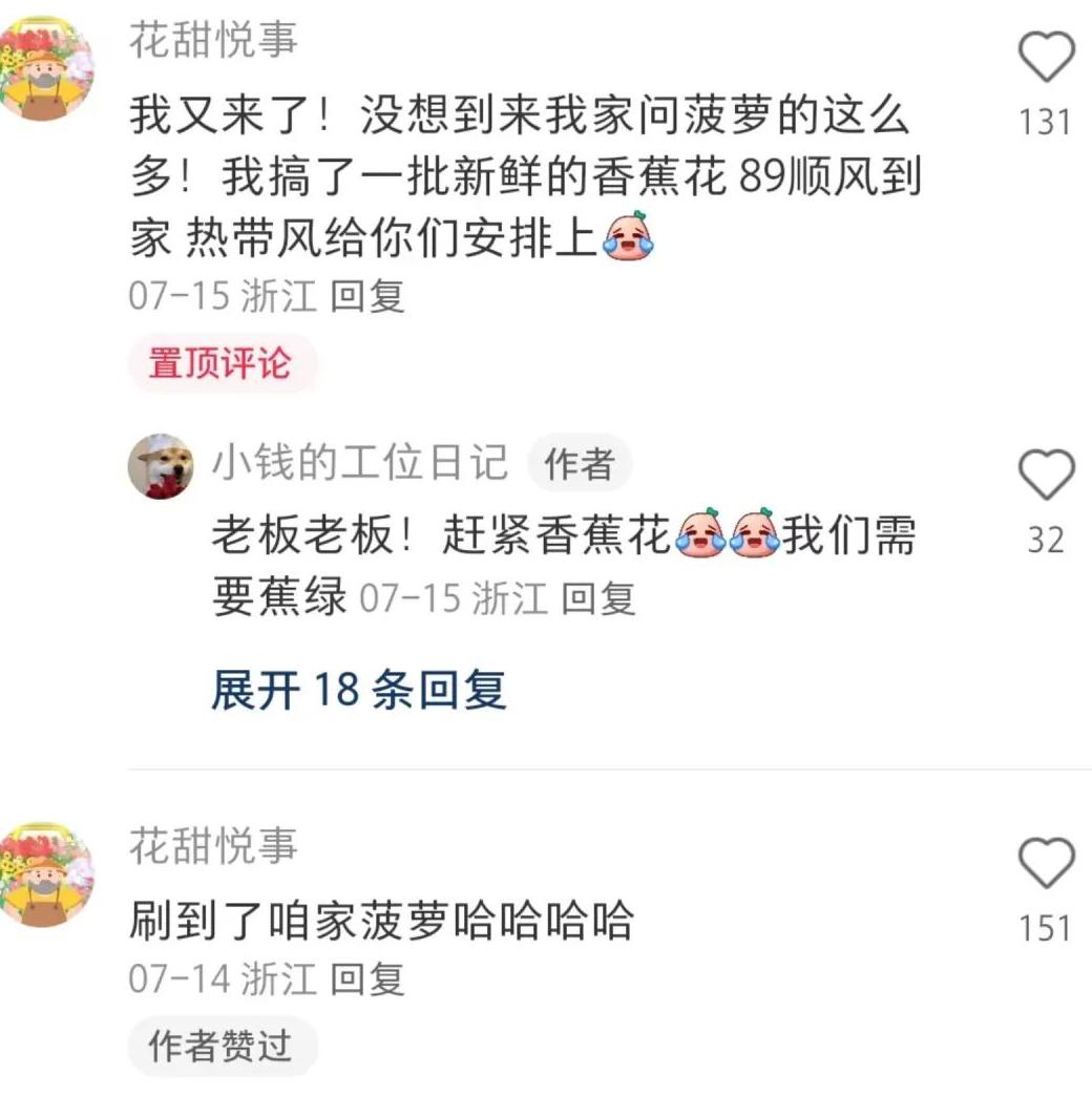 小红书系列笔记_小红书设置笔记合集_xuann小红书笔记