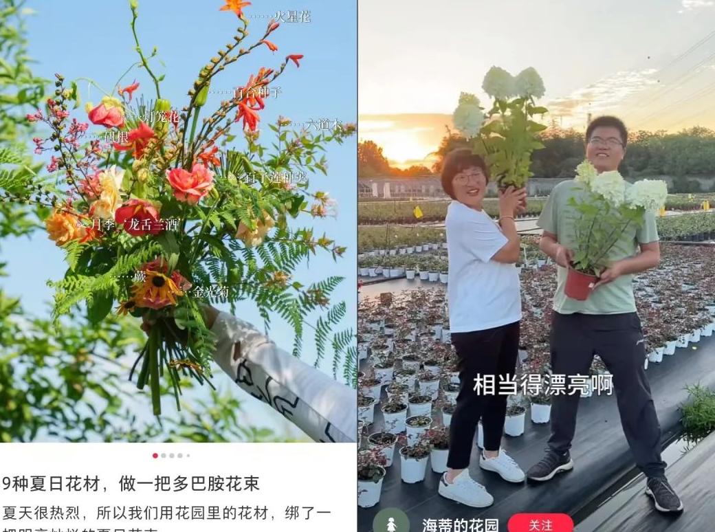 小红书设置笔记合集_小红书系列笔记_xuann小红书笔记