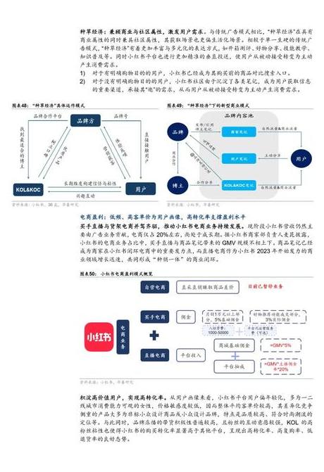 小红书运营模式分析论文_小红书论文_小红书app论文